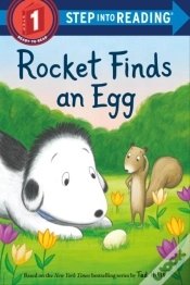 Capa do artigo Rocket Finds An Egg
