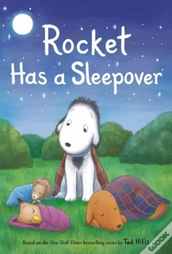 Capa do artigo Rocket Has A Sleepover