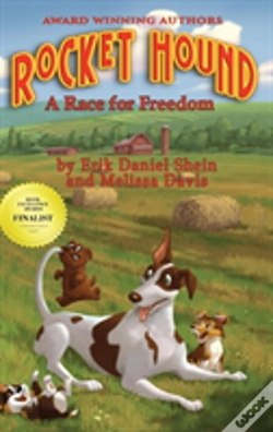Capa do artigo Rocket Hound