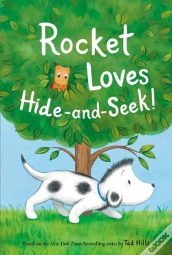 Capa do artigo Rocket Loves Hide-And-Seek!