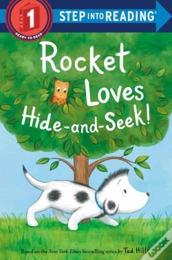 Capa do artigo Rocket Loves Hide-And-Seek!