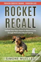 Capa do artigo Rocket Recall