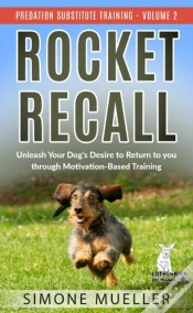 Capa do artigo Rocket Recall