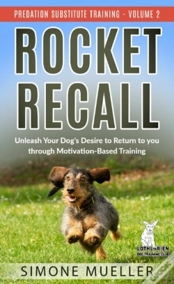 Capa do artigo Rocket Recall