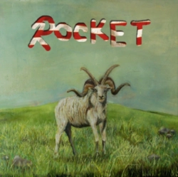 Capa do artigo Rocket - Vinil