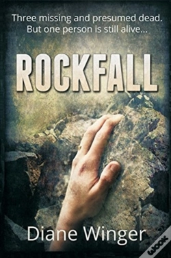 Capa do artigo Rockfall