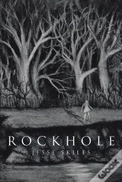 Capa do artigo Rockhole