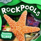 Capa do artigo Rockpools