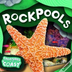 Capa do artigo Rockpools