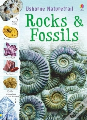 Capa do artigo Rocks And Fossils