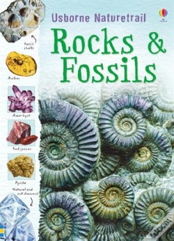 Capa do artigo Rocks And Fossils