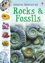 Rocks And Fossils