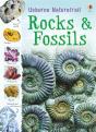 Rocks And Fossils - Preview