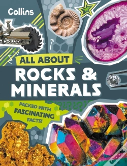 Capa do artigo Rocks And Minerals