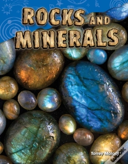 Capa do artigo Rocks And Minerals