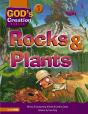 Rocks And Plants - Preview