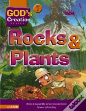 Capa do artigo Rocks And Plants