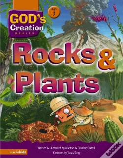 Capa do artigo Rocks And Plants