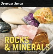 Capa do artigo Rocks & Minerals