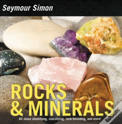 Capa do artigo Rocks & Minerals