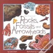 Rocks, Fossils, And Arrowheads
