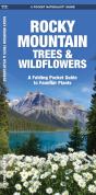 Rocky Mountain Trees & Wildflowers - Preview