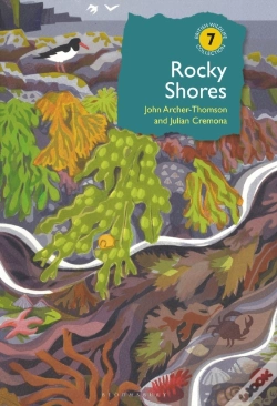 Capa do artigo Rocky Shores