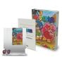 Rod Land Collector’s Edition NES Nintendo - Preview