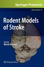 Rodent Models Of Stroke - Preview