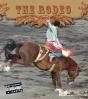 Rodeo - Preview