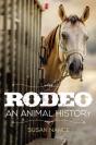 Rodeo - Preview