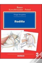 Capa do artigo Rodilla