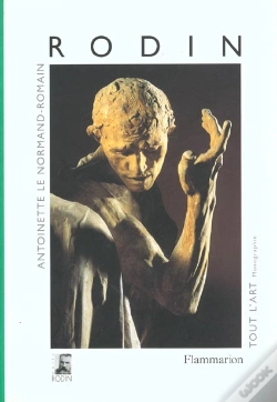 Capa do artigo Rodin