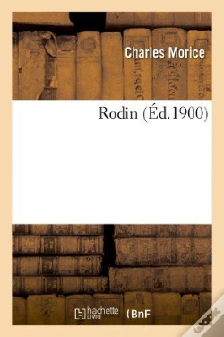 Capa do artigo Rodin
