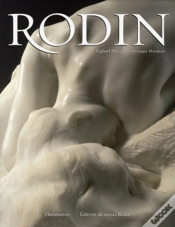 Capa do artigo Rodin