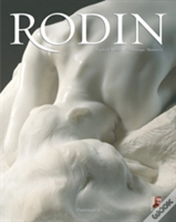 Capa do artigo Rodin