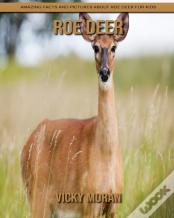 Roe Deer