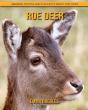 Roe Deer - Preview