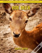 Roe Deer