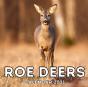 Roe Deers Calendar 2021 - Preview