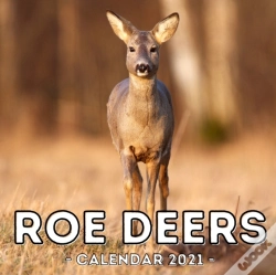 Capa do artigo Roe Deers Calendar 2021