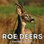 Roe Deers Calendar 2021 - Preview