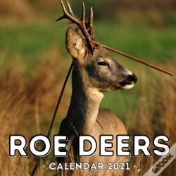 Capa do artigo Roe Deers Calendar 2021