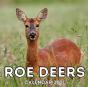 Roe Deers Calendar 2021 - Preview