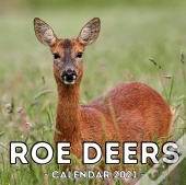 Roe Deers Calendar 2021