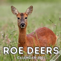 Capa do artigo Roe Deers Calendar 2021