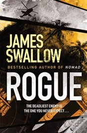 Capa do artigo Rogue