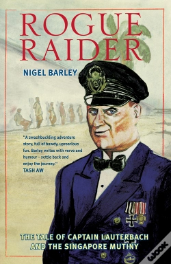 Capa do artigo Rogue Raider