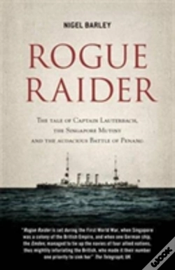 Capa do artigo Rogue Raider