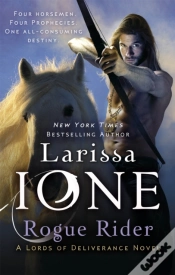 Capa do artigo Rogue Rider